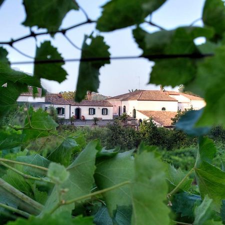 Casa Vacanze Etna Piedimonte Etneo Dış mekan fotoğraf