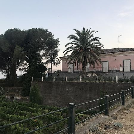 Casa Vacanze Etna Piedimonte Etneo Dış mekan fotoğraf