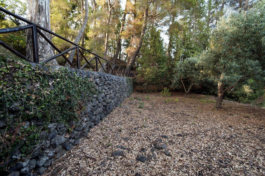 Casa Vacanze Etna Piedimonte Etneo Dış mekan fotoğraf