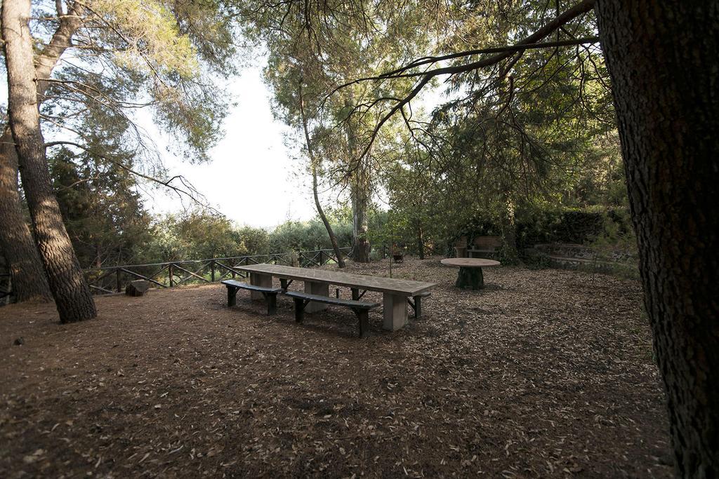 Casa Vacanze Etna Piedimonte Etneo Dış mekan fotoğraf