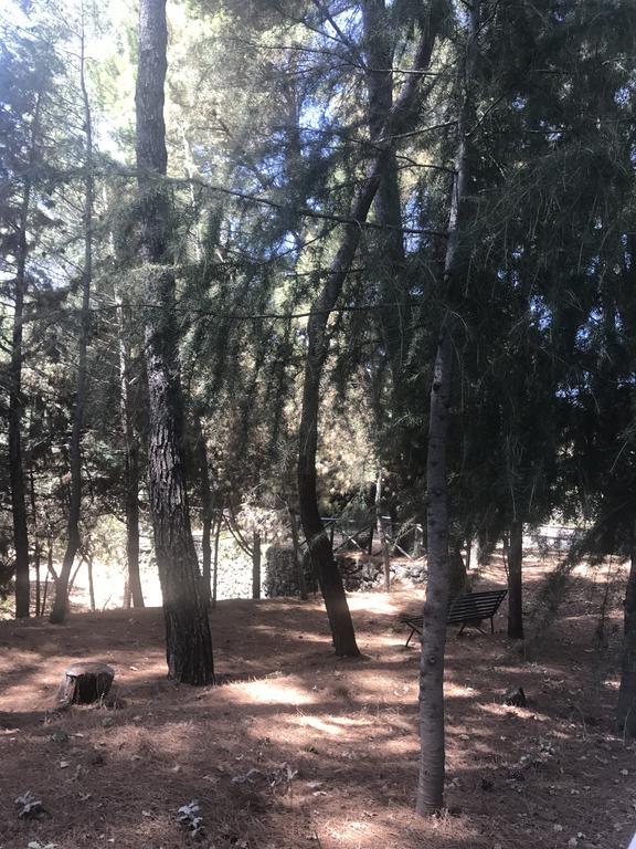 Casa Vacanze Etna Piedimonte Etneo Dış mekan fotoğraf