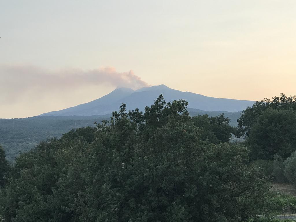 Casa Vacanze Etna Piedimonte Etneo Dış mekan fotoğraf