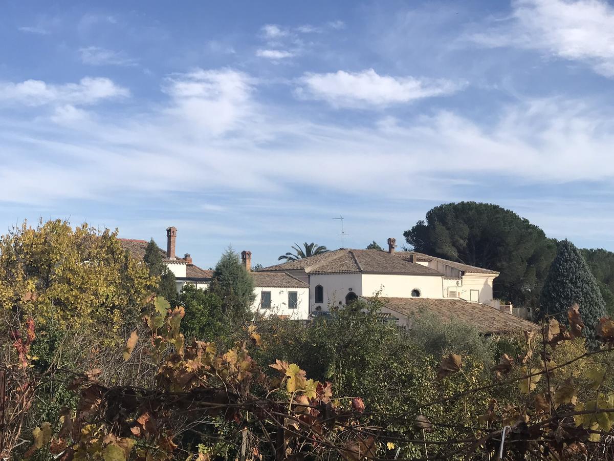 Casa Vacanze Etna Piedimonte Etneo Dış mekan fotoğraf